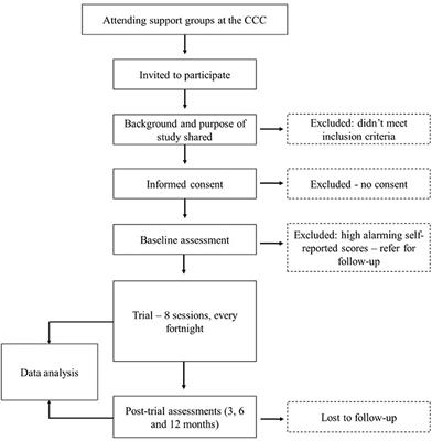 Positive and Healthy Living Program Manual Development for Young People Living With HIV at the Comprehensive Care Center at the Kenyatta National Hospital: An Open Pilot Implementation Trial